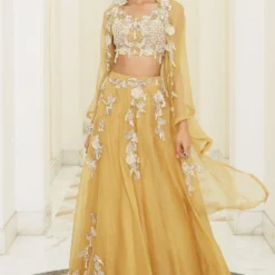 Ridhima Bhasin Sunrise Yellow Appliqued Lehenga Set With Cape