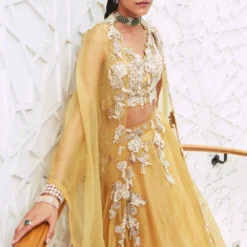 Ridhima Bhasin Sunrise Yellow Appliqued Lehenga Set With Cape -Cheap Drapvera Store 0212rb02 3
