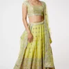 Gopi Vaid Lime Green Embellished Lehenga Set