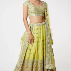 Gopi Vaid Lime Green Embellished Lehenga Set