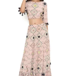 Payal Singhal Blush Diamond Printed Lehenga Set