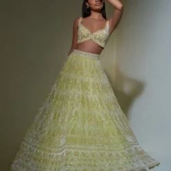 Ritika Mirchandani Lime Green Geometric Embroidered Lehenga Set -Cheap Drapvera Store 1312rm4 4