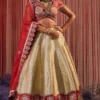 Simar Dugal Red Embellished Turkish Lehenga