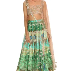 Payal Singhal Tropical Printed Dupion Lehenga Set