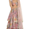 Payal Singhal Tribal Printed Ruffled Lehenga Set