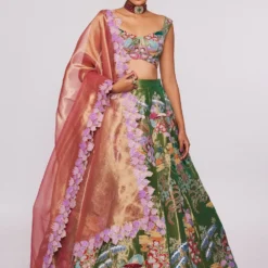 Aisha Rao Green Tissue Appliqued & Embellished Lehenga Set