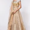 Amit Aggarwal Metallic Gold Structured Lehenga