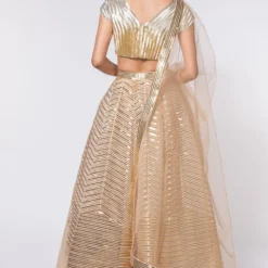 Amit Aggarwal Metallic Gold Structured Lehenga -Cheap Drapvera Store aarts21033 5