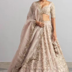 Anushree Reddy Champagne Organza Lehenga Set