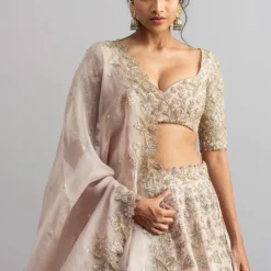 Anushree Reddy Champagne Organza Lehenga Set -Cheap Drapvera Store ar005 3