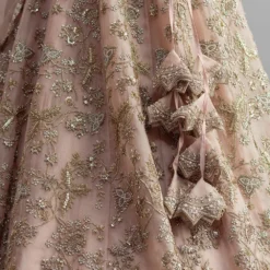 Anushree Reddy Champagne Organza Lehenga Set -Cheap Drapvera Store ar005 4