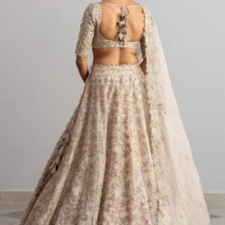 Anushree Reddy Champagne Organza Lehenga Set -Cheap Drapvera Store ar005 7