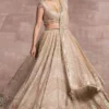 Tarun Tahiliani Beige Chikankari Lehenga Set