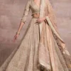 Tarun Tahiliani Dull Ivory Chikankari Lehenga Set