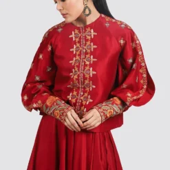 Chandrima Embroidered Red Top