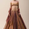 Tarun Tahiliani Organza Lehenga Set With Metallic Details