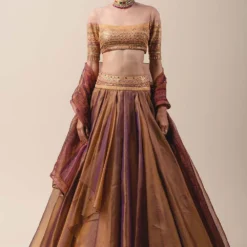 Tarun Tahiliani Organza Lehenga Set With Metallic Details