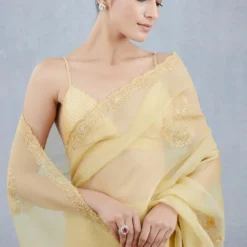 Torani Sunehra Ziva Choli