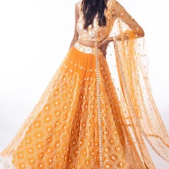 Mishru Jaal Work Orange Lehenga Set