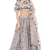Payal Singhal Pastel Printed Lehenga Set With Embroidery Details