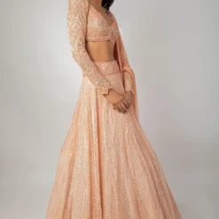 Ritika Mirchandani Peach Hand Embroidered Lehenga Set